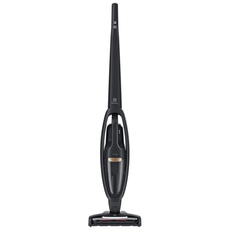 self-standing handstick vacuum cleaner - WQ61-1EGG
